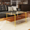 Coffee Table 2 Tier Tempered Glass Top Metal Frame Storage Shelf Living Room