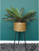 Gold Indoor Flower Pot, Geometric Plant Stand with Gold Honeycomb Planter, 72 cm