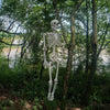 Poseable Full Life Size Human Skeleton 160cm Model Horror Bone Halloween Deco UK