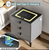 LED Bedside Table Wireless Charging Side Cabinet Nightstand with 3 Drawers Gray