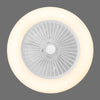 LED Ceiling Fan Light Dimmable Living Room Chandelier Lamp With Remote Control
