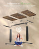 120x60cm Electric Standing Desk with USB Charging Height Adjustable Desk with
