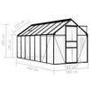 Greenhouse Anthracite Aluminium 8.17 m²