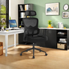 Office Chair Big & Tall 500LBS Ergonomic Mesh Desk Chair with Lumbar Support