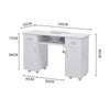 Mobile Professional Manicure Table+Dust Collector Nail Beauty Salon Station Desk