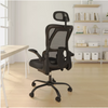 Flamaker Office Desk Chair Ergonomic Computer Chair with Lumbar Support Black