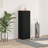 Black Oak Shoe Cabinet - 29.5 x 35 x 100.5 cm - Made of Engineered Wood