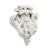 Halloween Decoration Skeleton Skull Bones Haunted Houses Party Scary Ornament UK