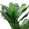 Large 180cm Tall Artificial Plants Banana Tree Faux Home Decor Artificial Plants