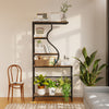 Industrial 5-Tier Plant Stand S Shape Raised Floor Shelf Bookshelf Storage Rack