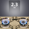Portable Double 2 Burner Gas Stove Camping Butane Cooker Barbecue Gas Cannister