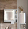 Tavion Bathroom Mirror Cabinet w/ shelves with Lights [1 Door+3 Shelves] 27-2-20