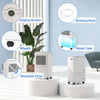 12L/Day Small Dehumidifier for Home Damp, with Humidity Light