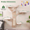 Cat Wall Shelves Furniture Cat Climber Tree Activity Center w/Hammock-Natural
