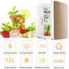 10L Electric Mini Fridge, Portable Small Cooler for Bedroom, Office, Ice Box