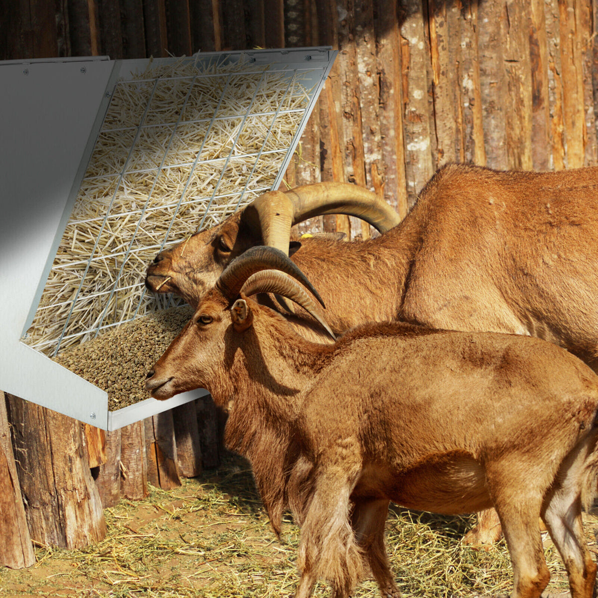 Goat Sheep Horse Heavy-Duty Wall-Mounted Hay Rack 2-in-1 Hay & Grain F ...