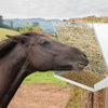 Goat Sheep Horse Heavy-Duty Wall-Mounted Hay Rack 2-in-1 Hay & Grain Feeder