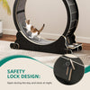 Cat Exercise Running Wheel Treadmill w/Carpeted Runway for Indoor Cats Black