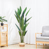UV Topiary Trees Large Indoor Outdoor Artificial Plants Protected from UV 180cm