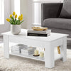 Top Shelf Furniture With Wooden Table Drawer Room Storage Living Lift Coffee Pzm