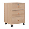 Mobile 3 Drawers Filing Cabinets Printer Stand Pedestal Lockable Bedside Table