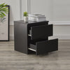 2 Drawers Black Bedside Cabinet Storage Nightstand Bedroom Chest Of Drawers