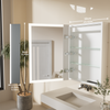 Wall Mounted Mirror Cabinet Bathroom Mirror Cupboard Dimmable Anti-fog w/ Shelf
