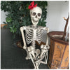 Poseable Full Life Size Human Skeleton 160cm Model Horror Bone Halloween Deco UK