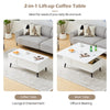 2-in-1 Coffee Table With Lift Up Top and 2 Large Storage Cabinet White Wooden