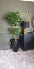 Artificial Evergreen Large Trees 150cm Large Twisted Ficus 150cm 5ft Realistic