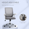 Mesh Home Office Chair Swivel Task Computer Desk Chair w/ Lumbar Support, Grey