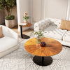 Set of 2 Nesting Coffee Table Round Glass Splicing Wood Grain Tabletop End Table