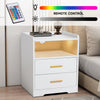 LED Nightstand USB Charger Outlet RGB End Table Versatile 2-Drawer Bedside Table