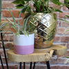 1 X Set of 3 Gamal Wood Plant Stands - Natural