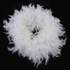 Modern Feather Light Shade Crystal Pendant Light Bedroom Chandelier Ceiling Lamp