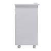 Wheel Professional Manicure Table Salon Nail Station Beauty Desk+Dust Collector