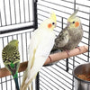 174cm Playtop Parrot Cage Large Metal Bird Cage w/Rolling for Canaries Cockatiel