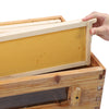 Complete Hive Bee Box with Foundation Lang stroth 10 Frame for Beginners UK