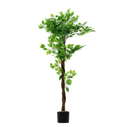 Artificial Ficus Tree Plant 150cm Large Ficus 5Ft Realistic Plants