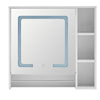 Bathroom Cabinet With LED Light Mirror Storage Unit Touch Switch 2 Shelf Hanger