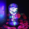 Eternal Rose In Glass Dome LED Light Birthday Mothers Day Gifts Mom Mum