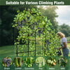 Garden Cucumber Trellis U-Shape Climbing Plant Support Stand with Nylon Netting