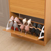 SHOE CABINET 2 DRAWER STORAGE CUPBOARD RACK SHELF FOOTWEAR ORGANISER SHOE STAND