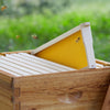 Solid Wood Bee Hive Bee Keeping National UK Beehive Beekeeping Insect Box Hotel
