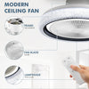 Ceiling Fan with Lighting RGB LED Light Adjustable Wind Speed Remote Control Nse