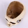 Resin Hollow Skull Head Planter Pot Vase Art Ornament Halloween Party Home Decor