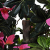 180cm Potted Artificial Satsuki Azalea Flowers Tree Potted In&Outdoor Home Décor
