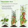 2 Pack Garden Trellis Height Adjustable Tomato Cage Tall Plant Support Stands