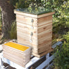 2/3/4 Tiers Langstroth Bee Hive Bee Keeping Beehive Beekeeping Super Brood Box