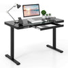 Electric Stand up Home Office Desk Adjustable Desk Sit Stand-Black